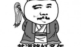 散兵表情包爆料视频下载,揭秘网络红人的魅力瞬间